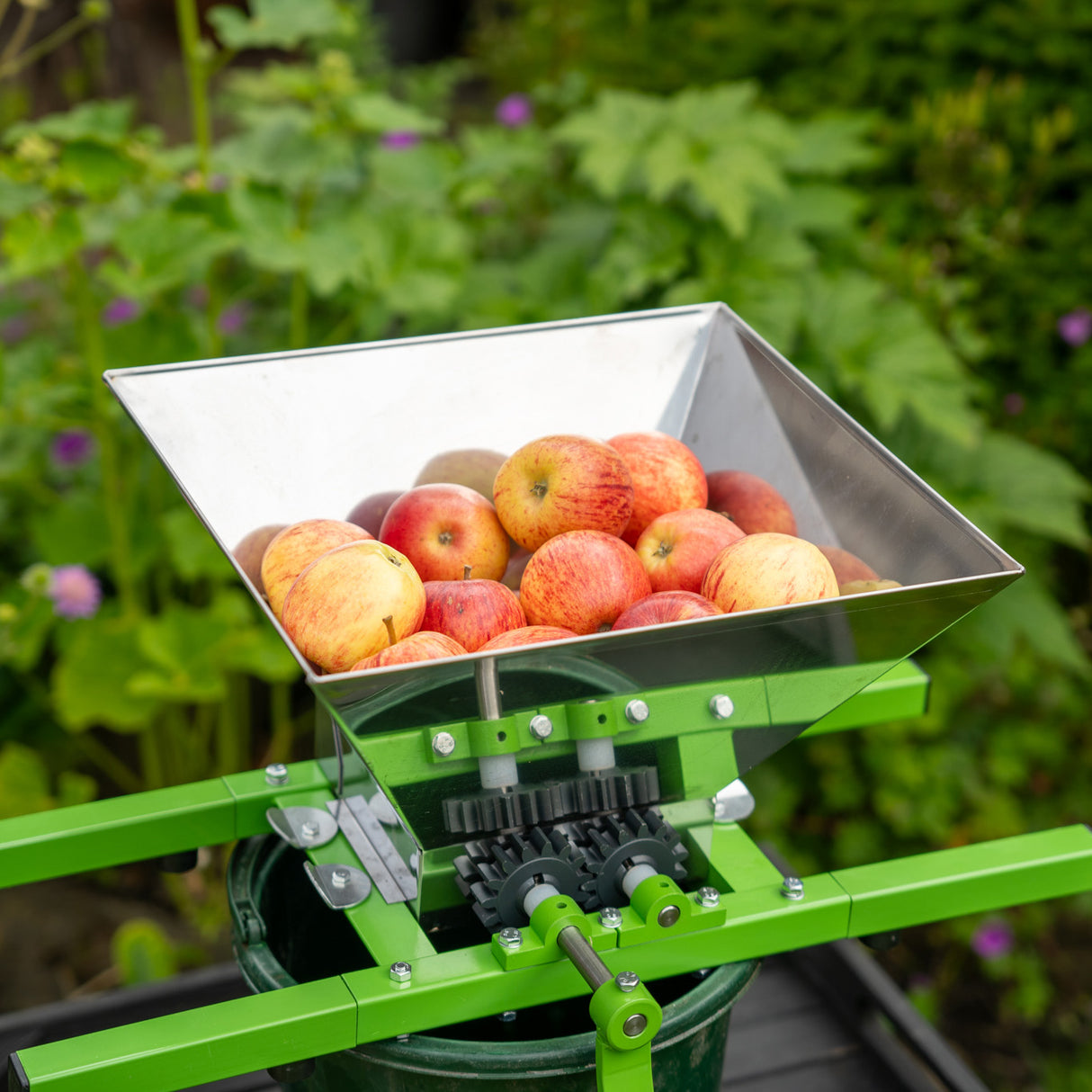 Broyeur de fruits portable à manivelle avec un grand bac en acier inoxydable rempli de pommes rouges, monté sur un cadre vert robuste