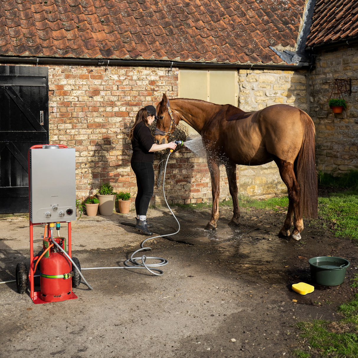 Douche portable pour chevaux de 18 L, avec un tuyau flexible, un cheval marron se faisant rincer, et une cour en pierre en arrière-plan