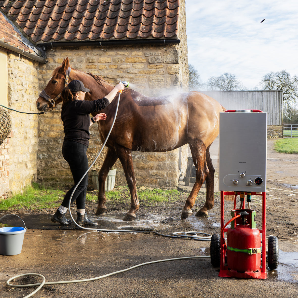Douche portable pour chevaux de 18 L, avec un homme lavant un cheval brun dans une cour en pierre, spray d'eau visible