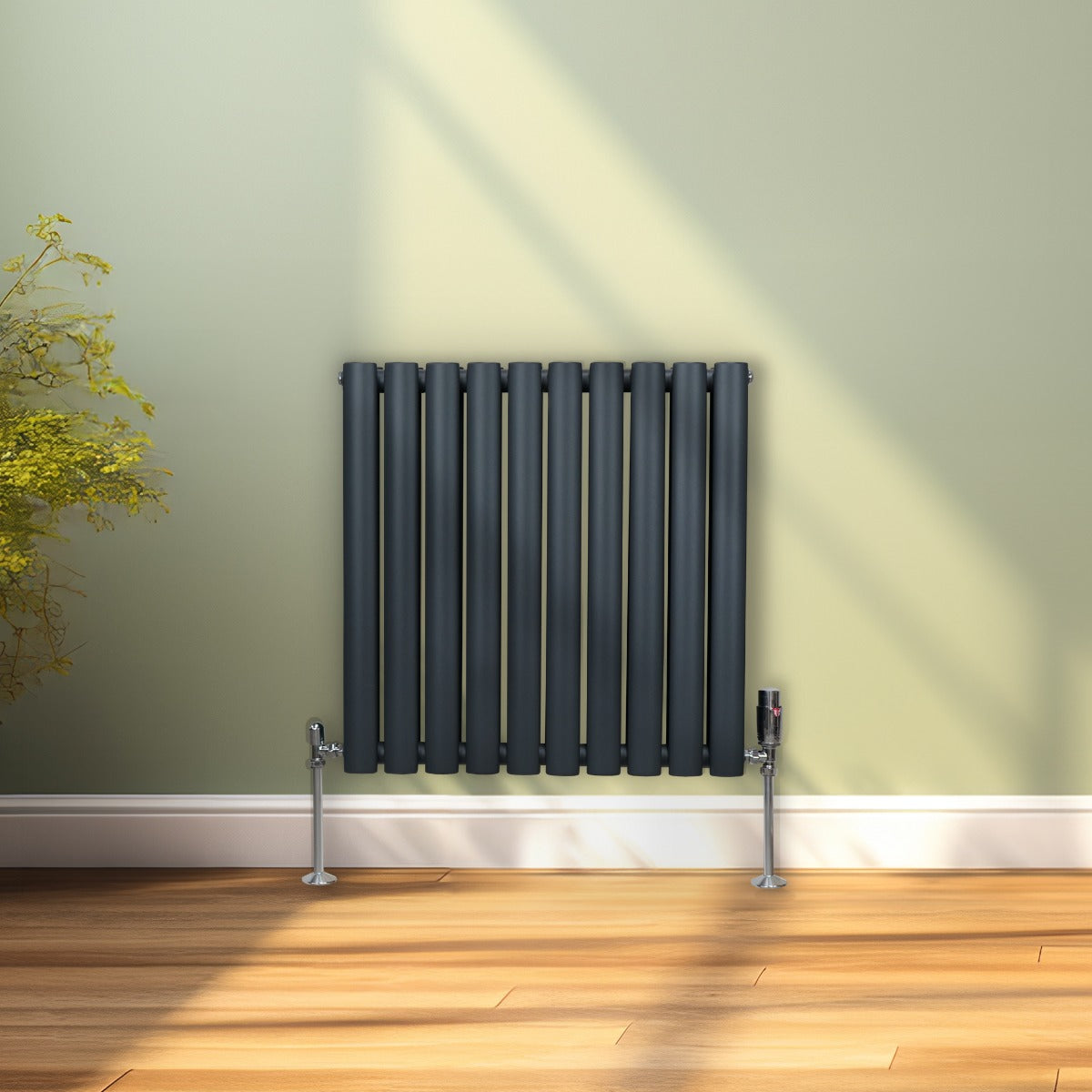 Radiateur à colonnes ovales gris anthracite, 600 x 600 mm, installé sur un mur vert, avec un sol en bois clair et lumière naturelle