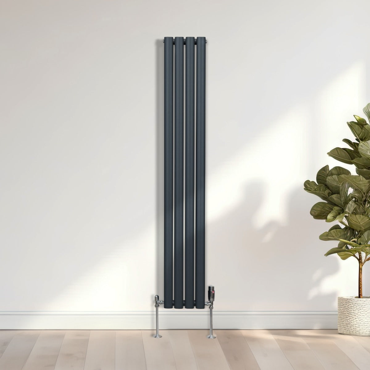 Radiateur à colonnes ovales gris anthracite, 2 panneaux, design moderne, surface lisse, installé contre un mur clair, avec plante verte à côté