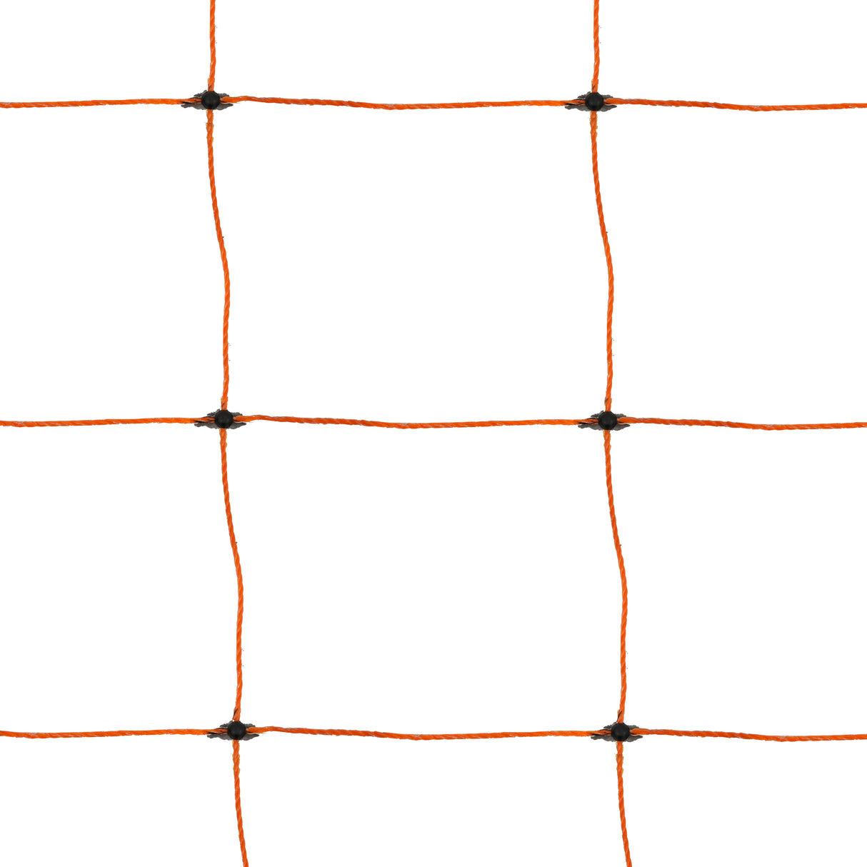 Filet Électrifiable Pour Volaille 50 M & Électrificateur