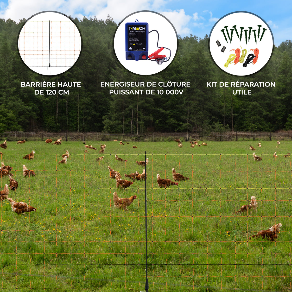 Filet Électrifiable Pour Volaille 50 M & Électrificateur