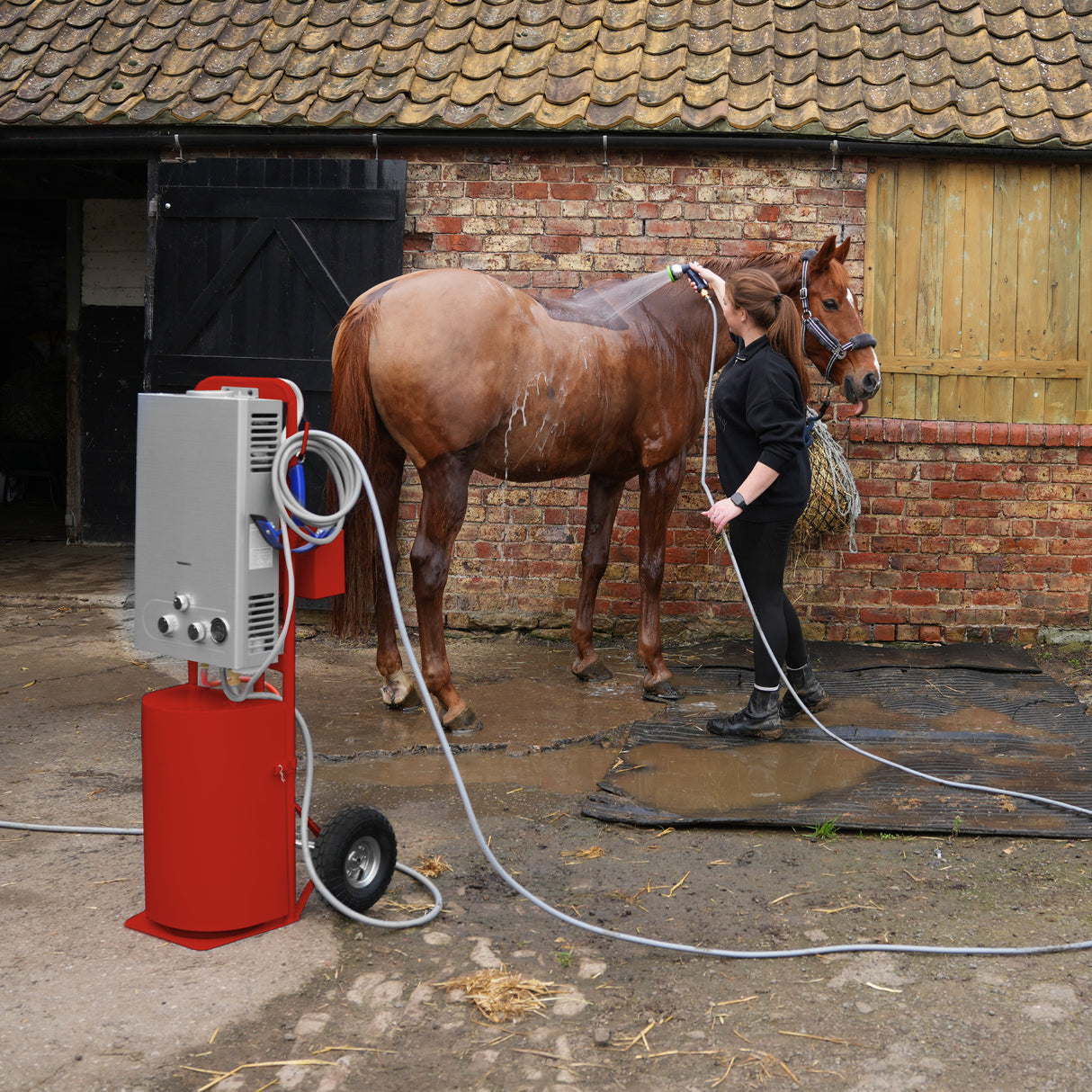 Douche de cheval portable deluxe rouge, avec un tuyau flexible, utilisée pour laver un cheval dans une écurie en briques rustiques