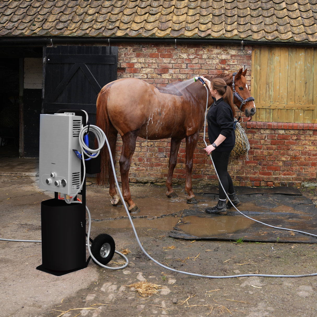 Douche de cheval portable deluxe noire, avec un tuyau flexible, utilisée pour laver un cheval marron dans une écurie en briques