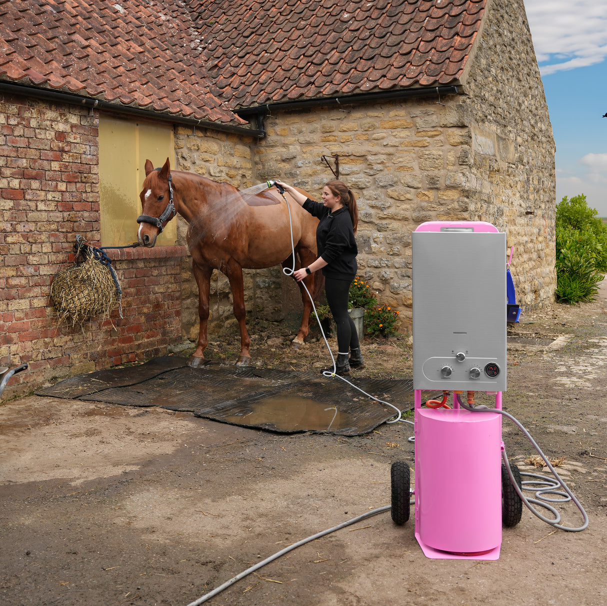 Douche de cheval portable deluxe rose avec roulettes, utilisée pour laver un cheval dans une cour en pierre, ciel bleu en arrière-plan