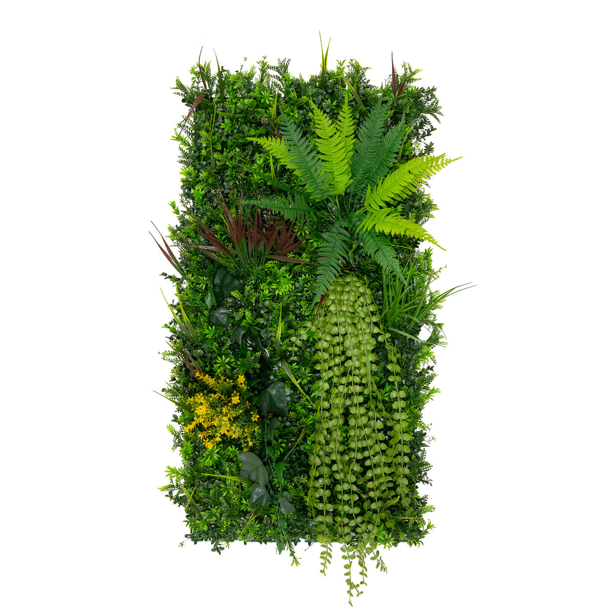 Panneau mural végétal artificiel de 50 x 100 cm, composé de fougères vertes, plantes succulentes et feuillage dense, texture réaliste