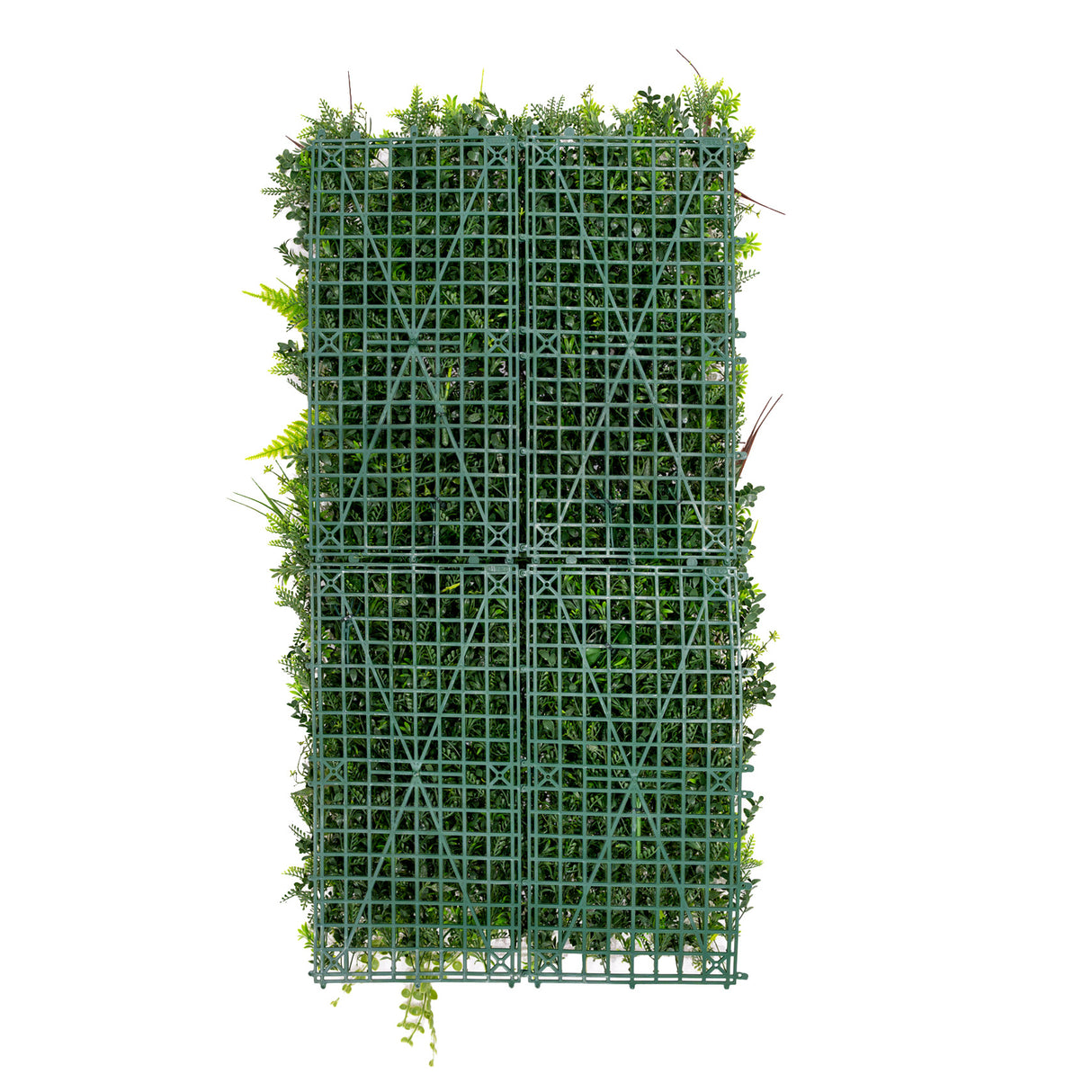 Panneau mural végétal artificiel 50 x 100 cm, structure en treillis vert avec feuillage dense et varié, texture réaliste et naturelle