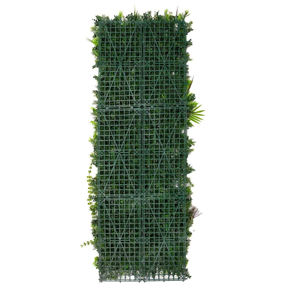 Panneau mural végétal artificiel de 50 x 150 cm, avec un treillis vert et une variété de feuillages luxuriants et texturés