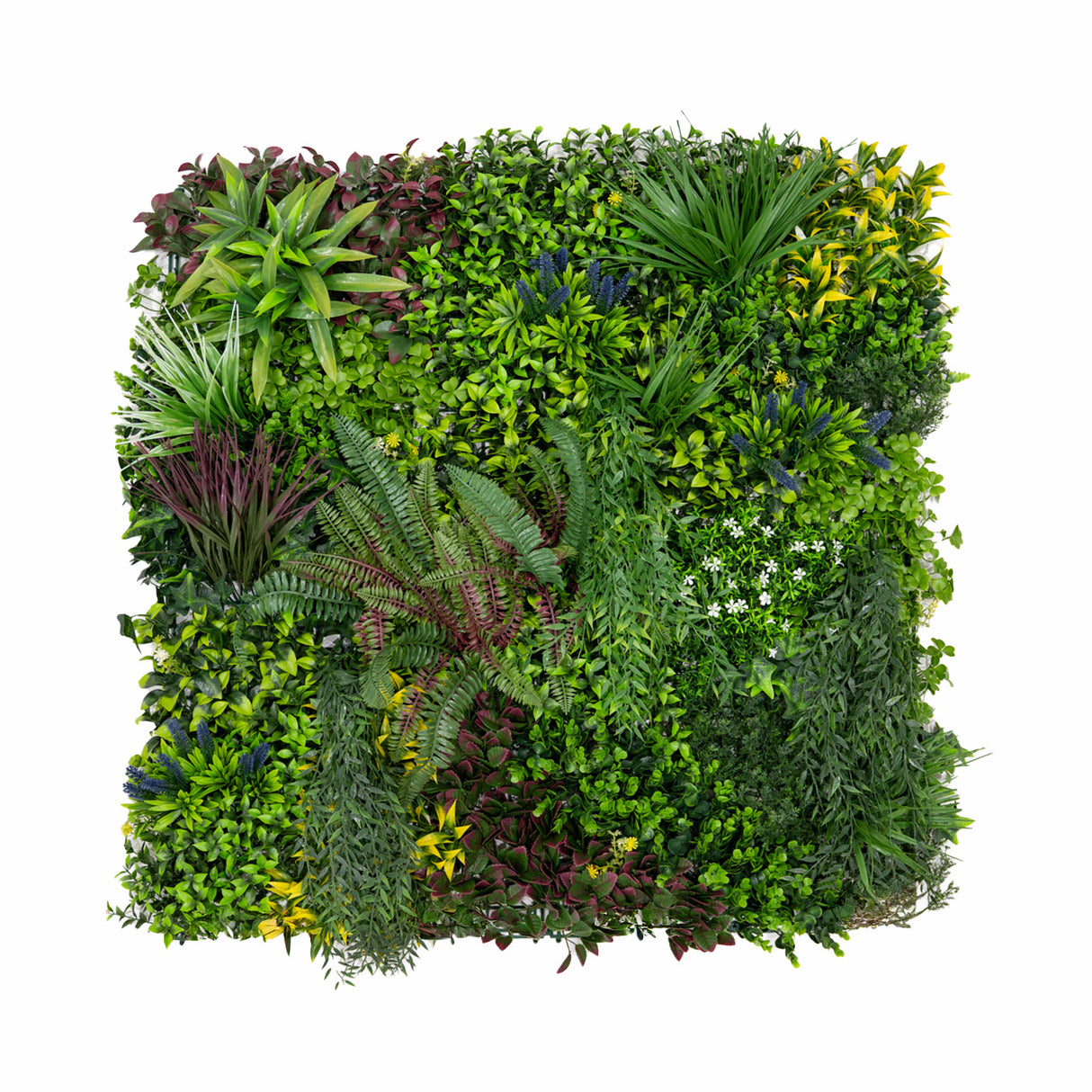 Panneau mural végétal artificiel de 100 x 100 cm, composé de feuillages variés en vert, jaune et violet, créant une ambiance naturelle et apaisante