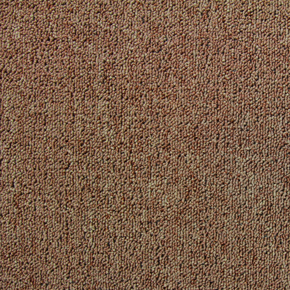 Dalles de moquette brun sable, texture douce et pelucheuse, format 50cm x 50cm, idéal pour un sol chaleureux et accueillant