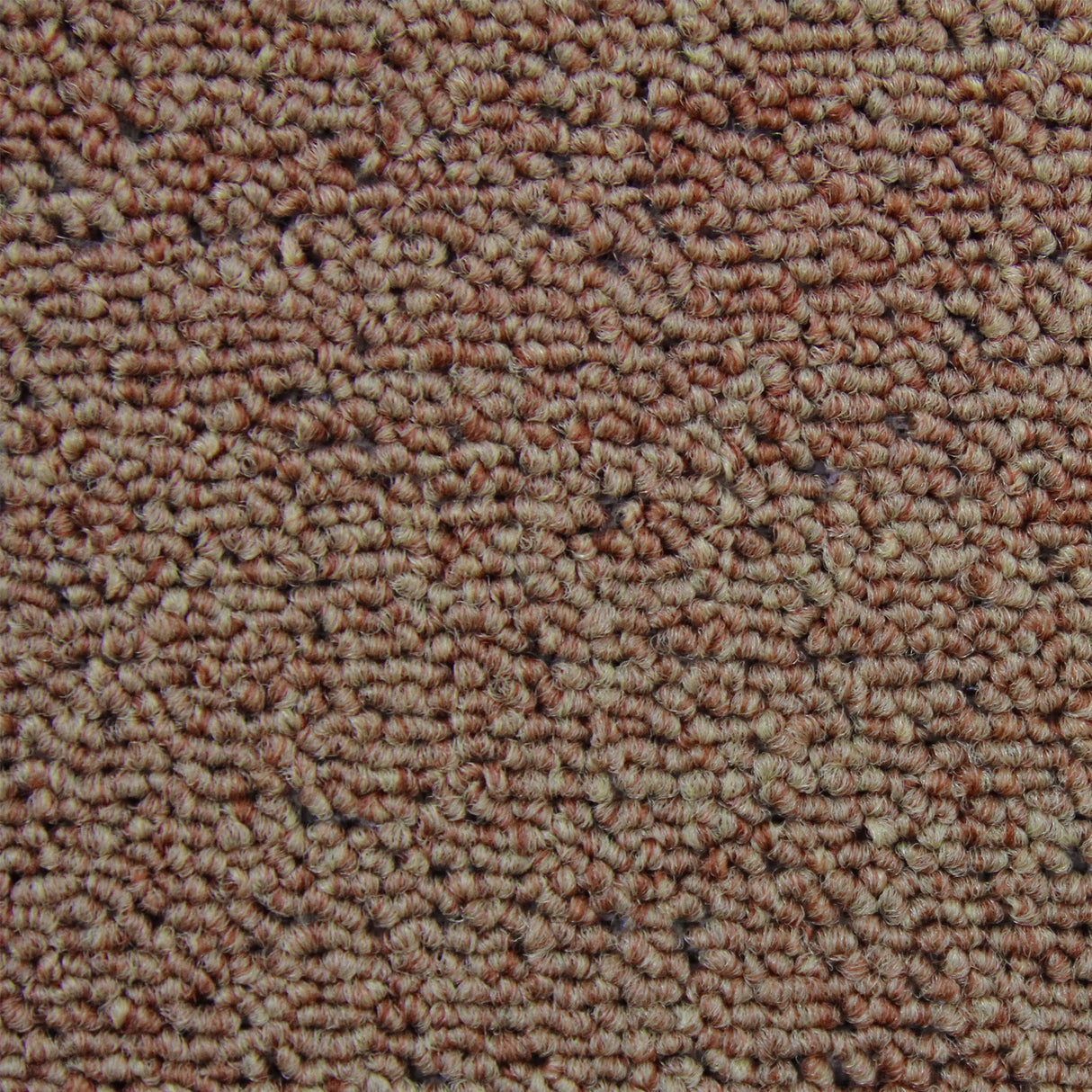Dalles de moquette brun sable, texture douce et pelucheuse, format 50cm x 50cm, idéales pour un revêtement de sol chaleureux et accueillant