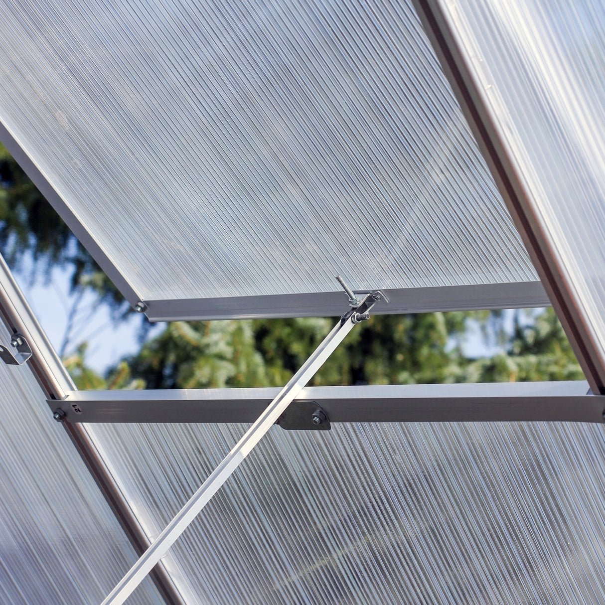 Serre de jardin en polycarbonate transparent avec structure en aluminium, montrant les panneaux et les supports robustes et légers