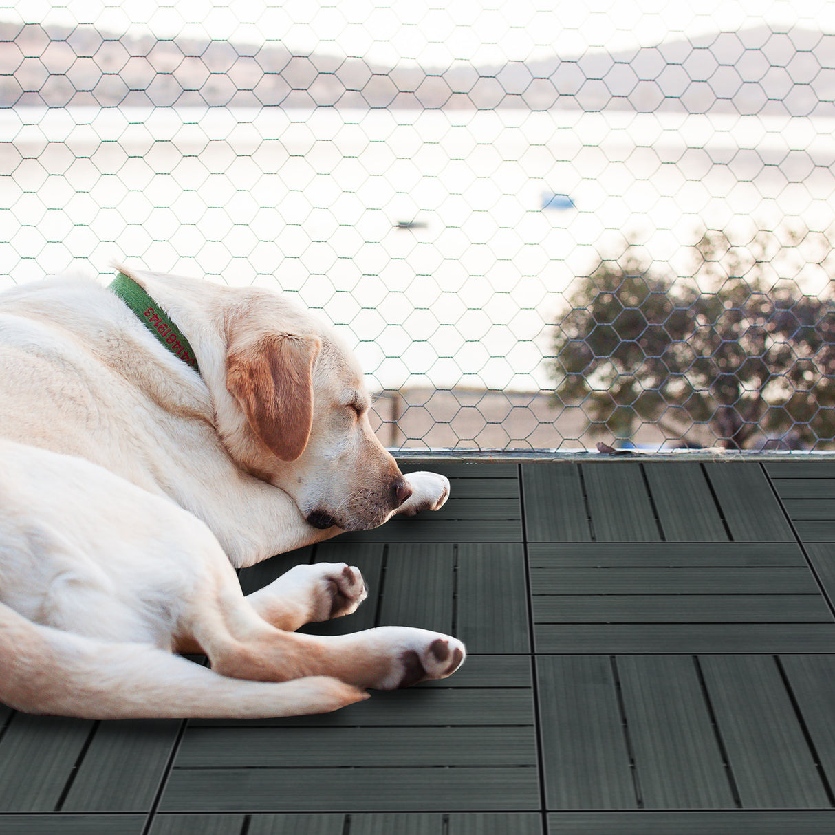 33 Dalles en Bois Composite Gris 30 x 30 cm