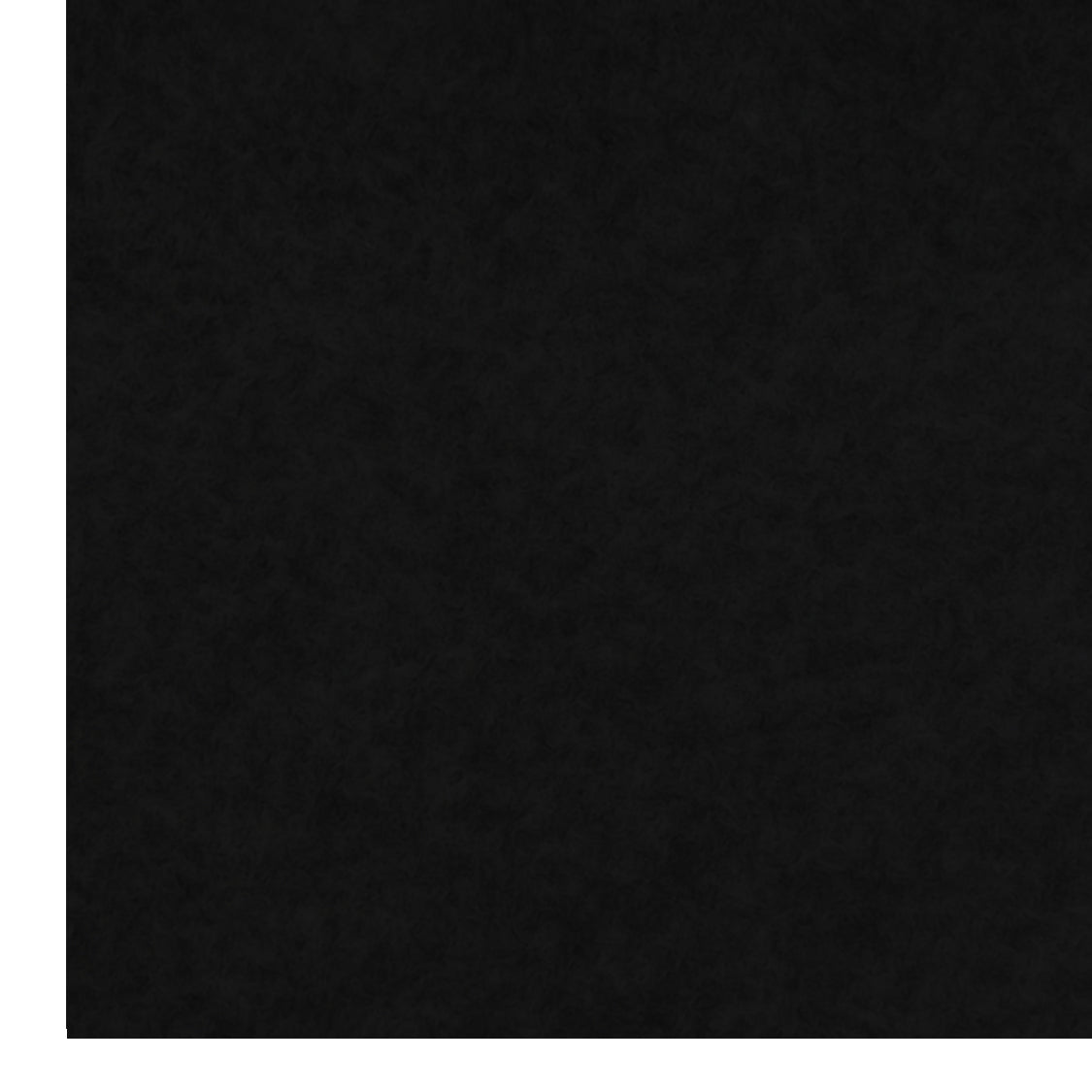 Doublure intérieure pour véhicule utilitaire en noir, texture douce et résistante, conçue pour un ajustement parfait et une protection optimale