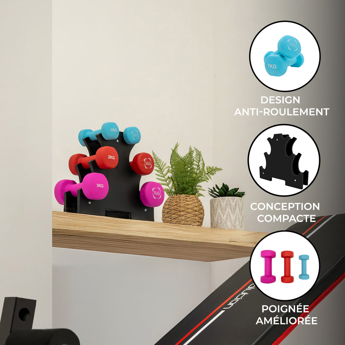 Haltères colorés en bleu, rouge, rose et violet sur un support en bois, avec une plante verte en arrière-plan et un design compact