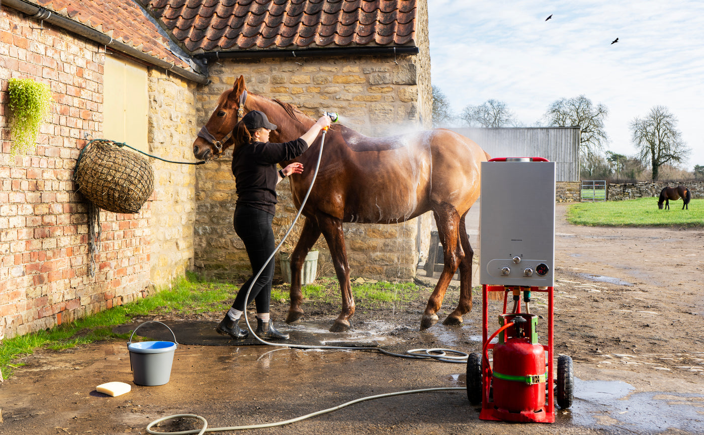 Femme en noir lavant un cheval brun avec un tuyau, près d'une écurie en pierre, sous un ciel clair et des oiseaux volant