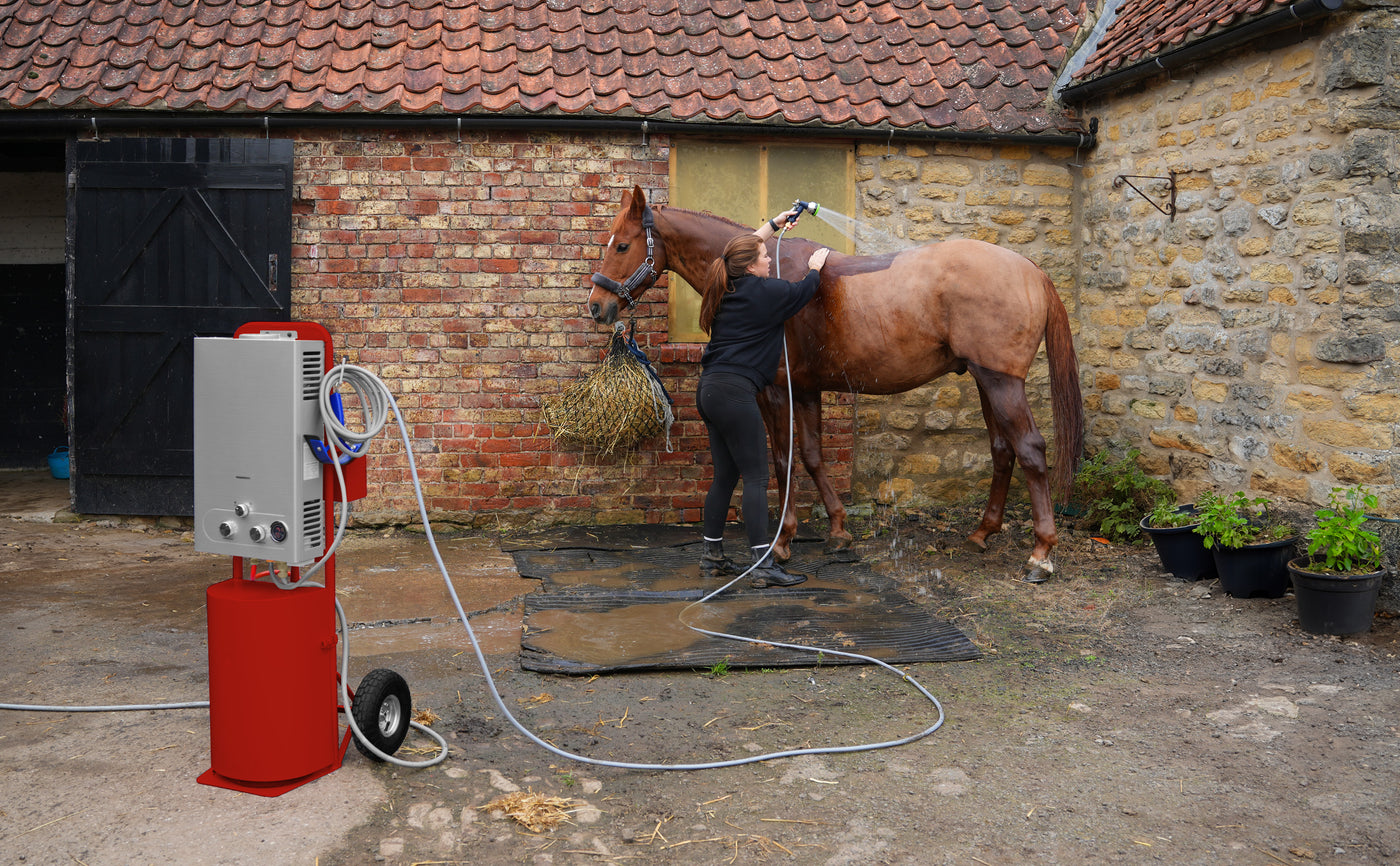 Une femme brosse un cheval brun dans une écurie, avec un nettoyeur haute pression rouge à côté sur un sol en béton