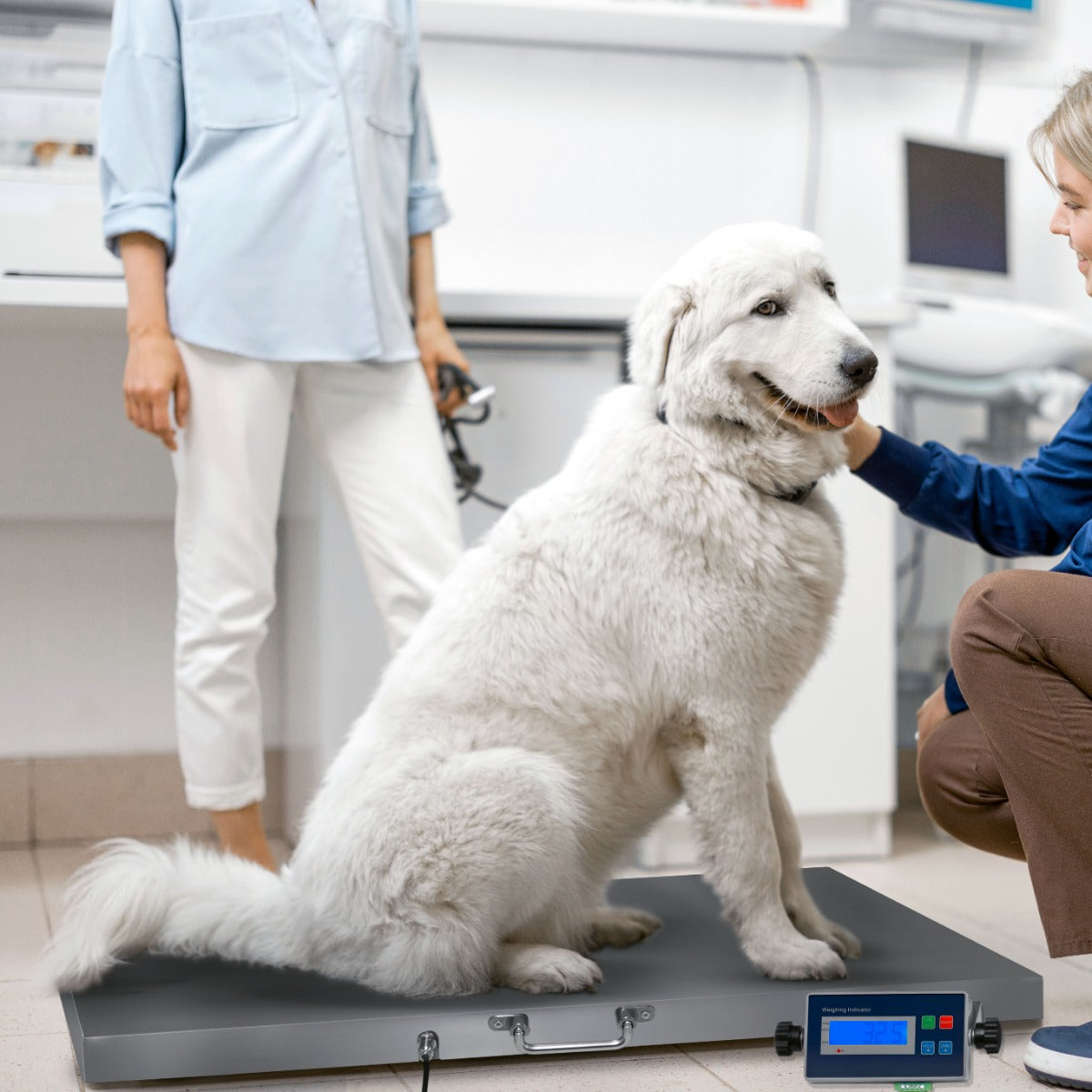 Balance vétérinaire T-Mech 60 x 90 cm avec un chien blanc assis sur une plateforme grise, écran numérique visible à côté