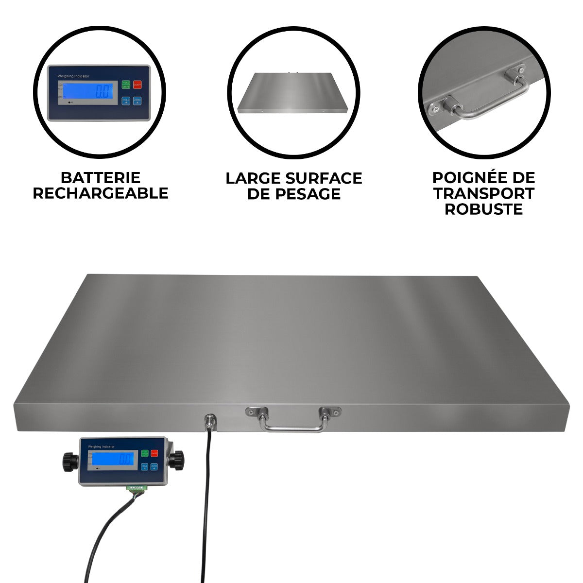 Balance vétérinaire T-Mech 60 x 90 cm en acier inoxydable, surface lisse, écran numérique, poignée robuste pour un transport facile