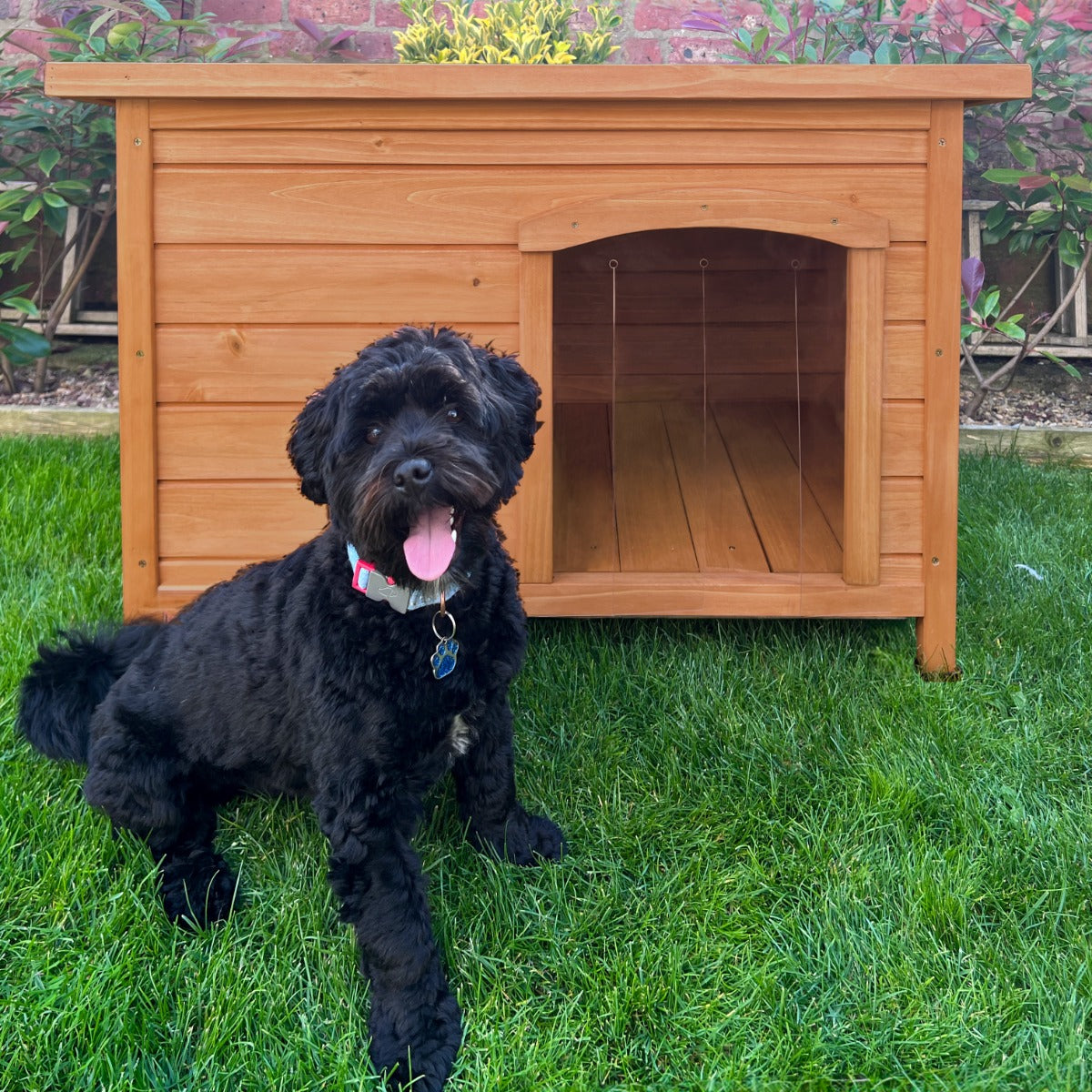 Niche en bois pour chien de petite taille, couleur miel, avec une porte arquée et un intérieur spacieux, sur une pelouse verte