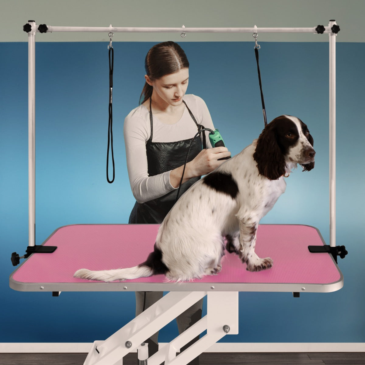 Table de toilettage hydraulique blanche avec plateau rose, utilisée par une personne pour toiletter un chien, arrière-plan bleu clair