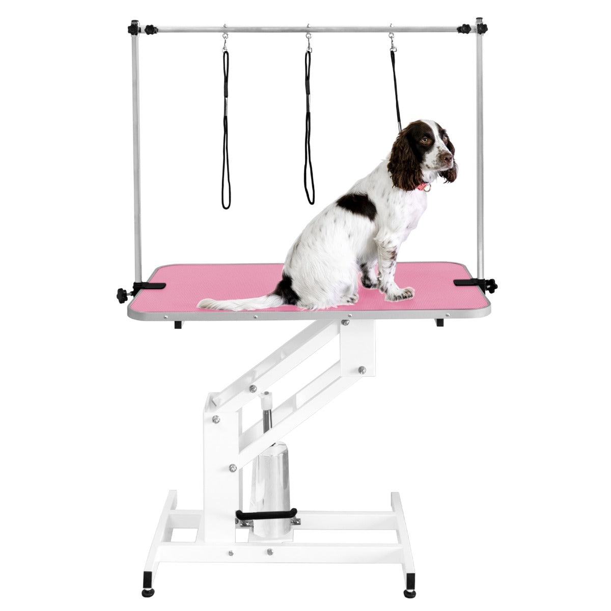 Table de toilettage hydraulique blanche avec plateau rose, équipée de sangles et d'un chien assis, offrant confort et praticité
