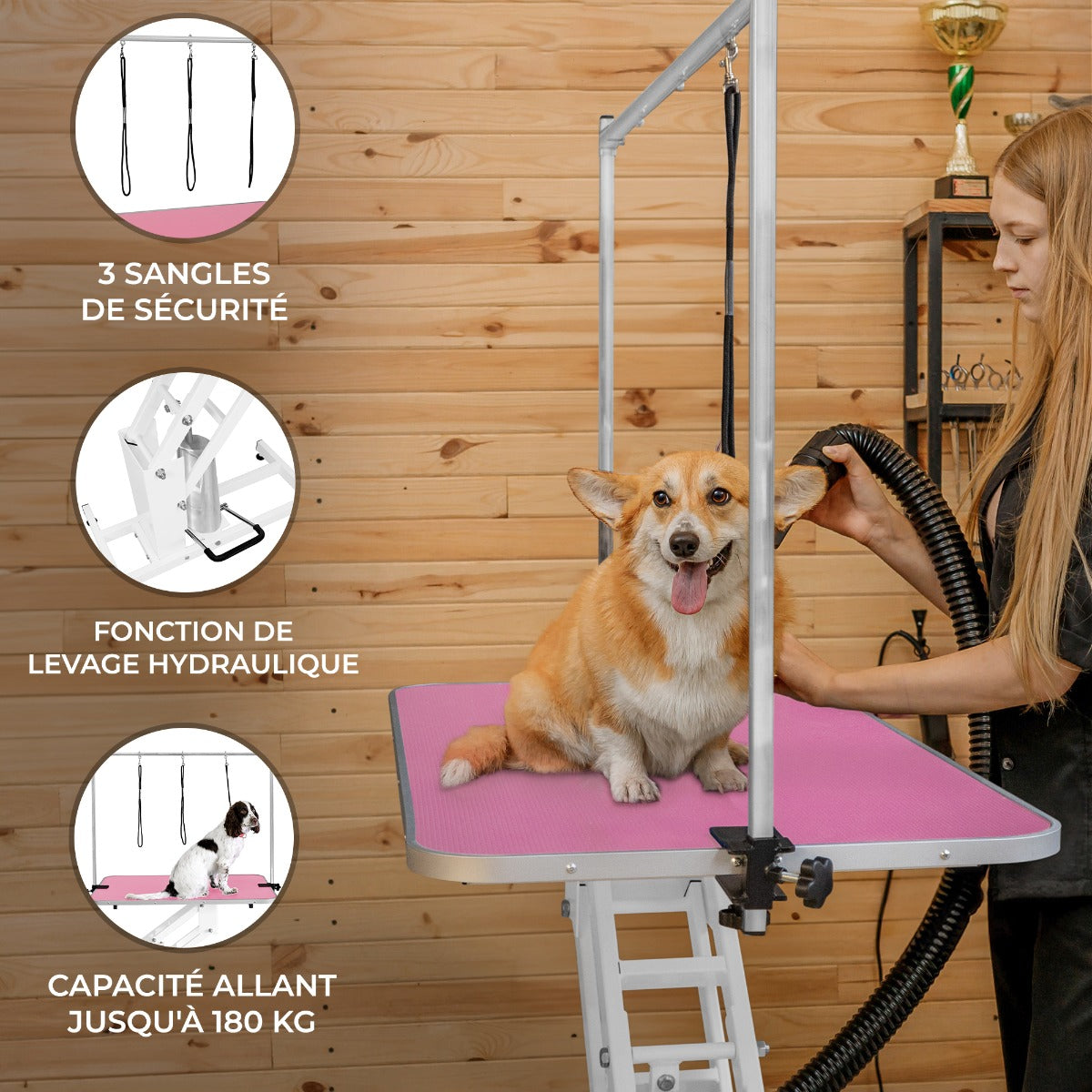 Table de toilettage hydraulique blanche avec plateau rose, équipée de 3 sangles de sécurité et d'une capacité de 180 kg