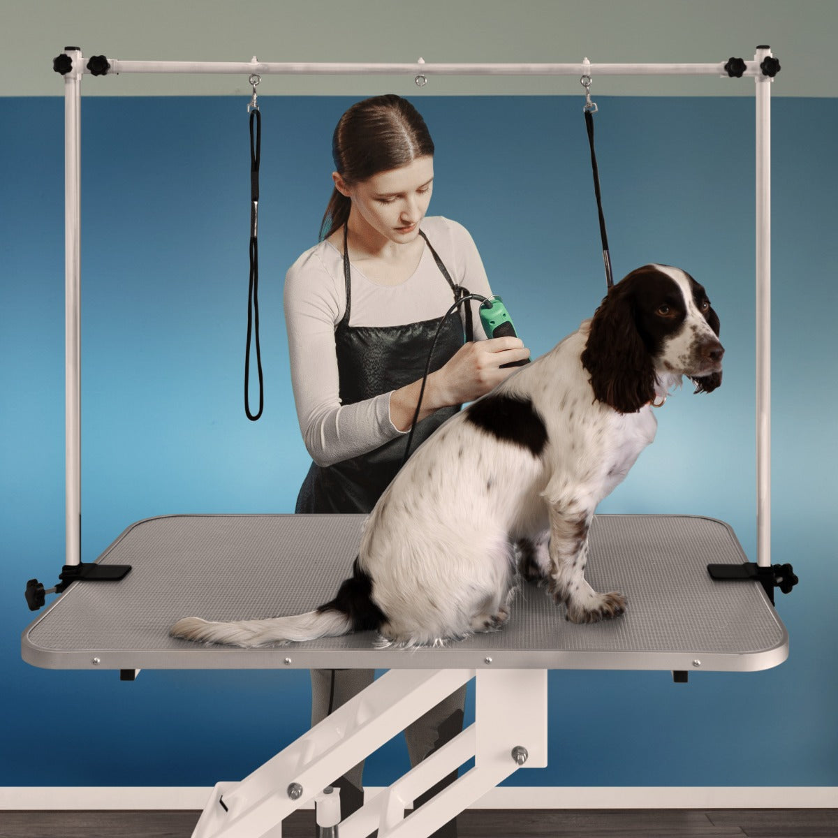 Table de toilettage hydraulique blanche avec plateau gris, chien assis, toilettage en cours, fond bleu apaisant