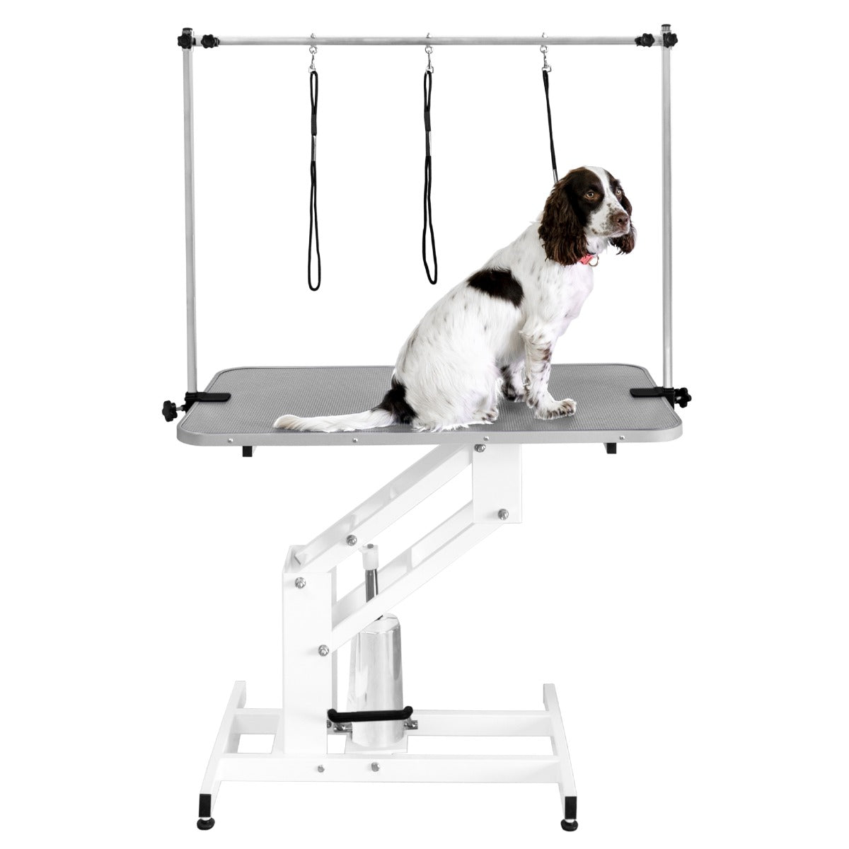 Table de toilettage hydraulique blanche avec plateau gris, équipée de sangles pour maintenir un chien pendant le toilettage