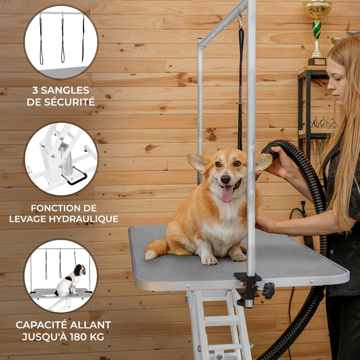 Table de toilettage hydraulique blanche avec plateau gris, équipée de 3 sangles de sécurité, idéale pour animaux jusqu'à 180 kg