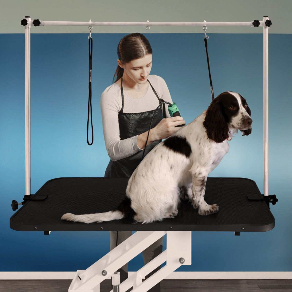 Table de toilettage hydraulique blanche avec plateau noir, chien assis, toilettage en cours, arrière-plan bleu clair