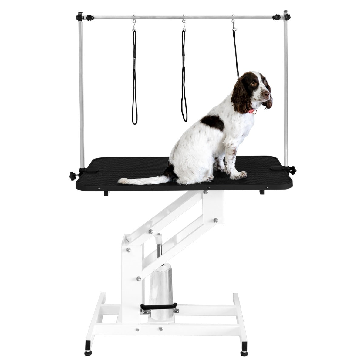 Table de toilettage hydraulique blanche avec plateau noir, équipée de sangles, supportant un chien assis sur la surface texturée
