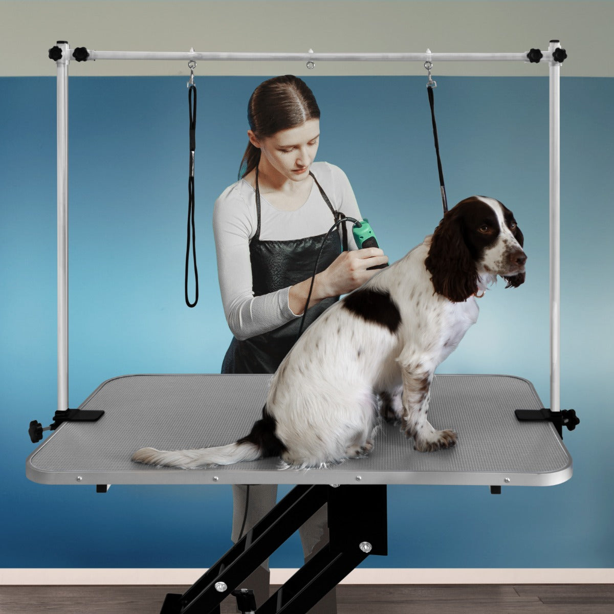 Table noire de toilettage hydraulique avec plateau gris, chien assis, toilettage en cours, fond bleu clair apaisant