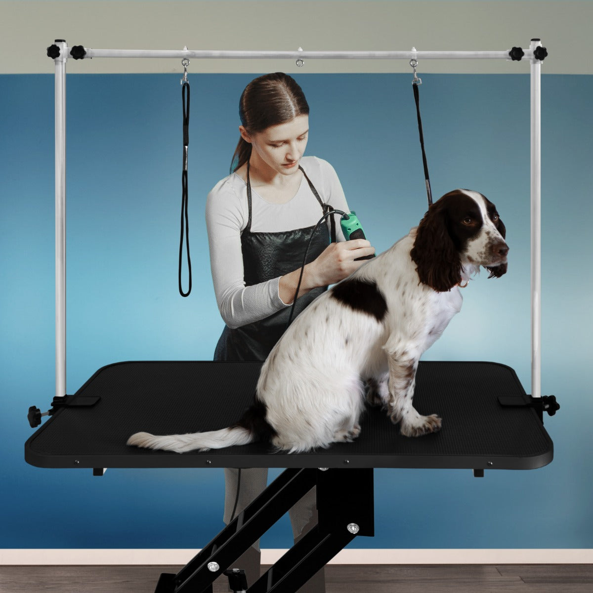 Table de toilettage hydraulique noire avec plateau texturé, chien assis, toilettage en cours, arrière-plan bleu clair