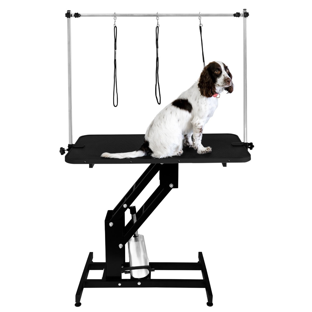 Table de toilettage hydraulique noire avec plateau noir, chien assis sur la surface, supports pour la sécurité des animaux