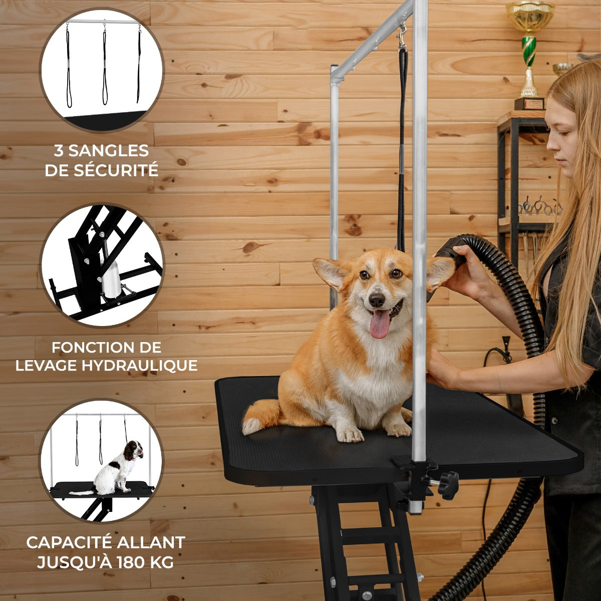 Table de toilettage hydraulique noire avec plateau texturé, chien corgi souriant, sangle de sécurité et bras de levage ajustable