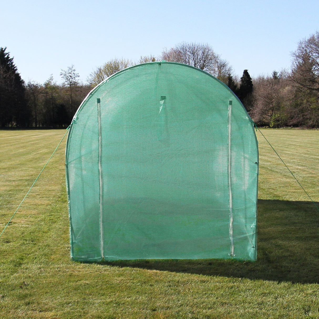 Serre polytunnel vert en plastique de 2,5m x 2m, avec une structure en tube de 19mm et des étagères intégrées, sur un terrain herbeux