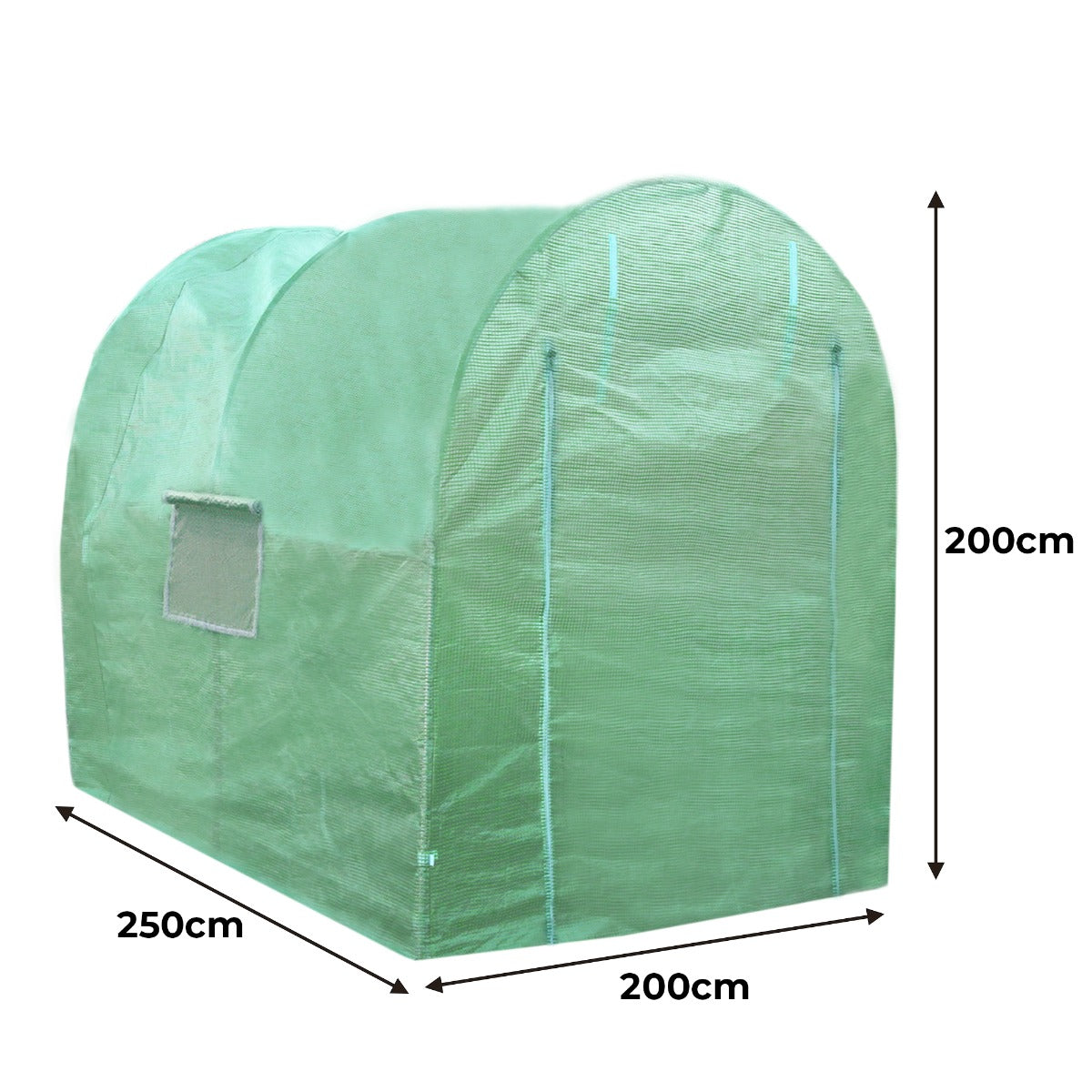 Serre polytunnel vert en plastique, dimensions 2,5m x 2m, avec étagères intégrées, offrant une protection pour les plantes et légumes