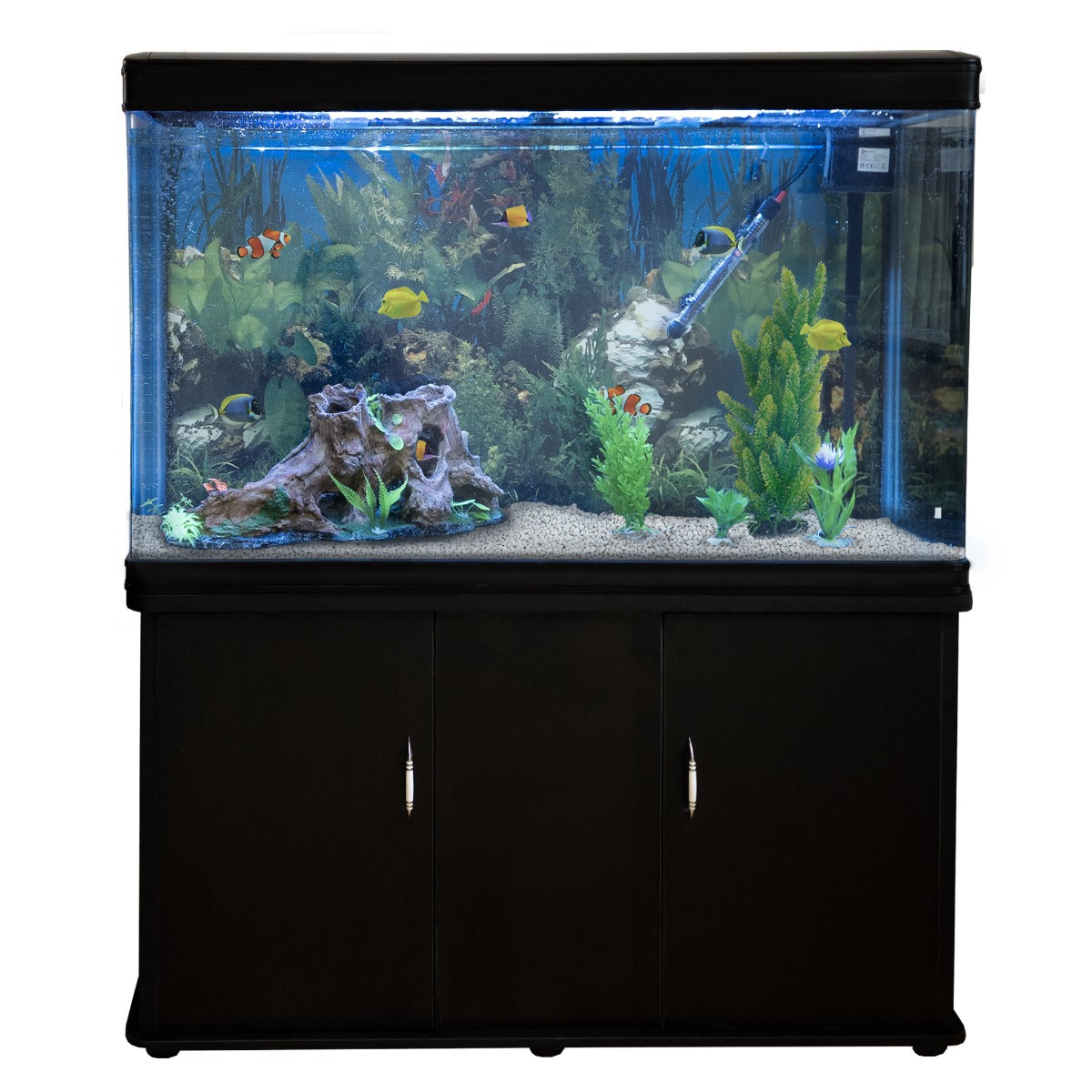 Aquarium noir avec meuble de support, gravier blanc, plantes aquatiques vertes et poissons colorés nageant dans l'eau claire
