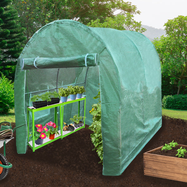 Serre polytunnel vert en plastique avec étagères, cultivant des plantes colorées, installé dans un jardin verdoyant et ensoleillé