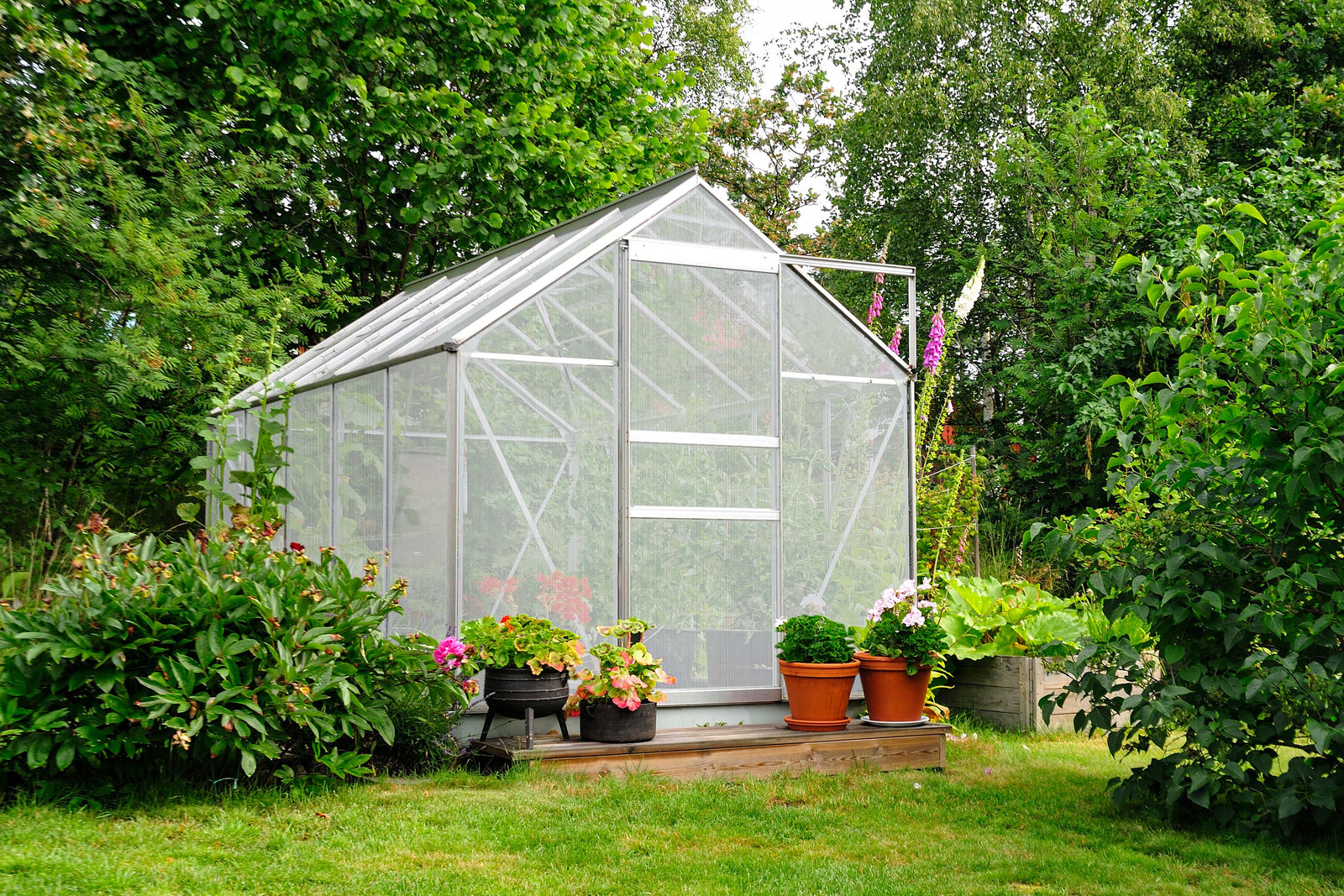 Serre de jardin en verre avec des plantes colorées en pot, entourée de verdure luxuriante et d'un jardin bien entretenu