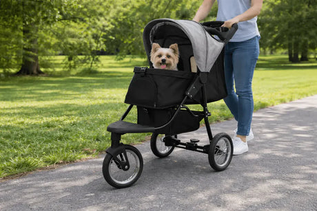 Poussette noire pour animaux avec un petit chien à l'intérieur, poussée sur un chemin bordé d'herbe verte sous un ciel clair