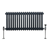 Radiateur Traditionnel à Double Colonne – 300 x 832 mm – Gris Anthracite
