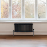 Radiateur Traditionnel à Double Colonne – 300 x 832 mm – Gris Anthracite