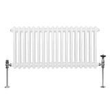 Radiateur Traditionnel à Double Colonne – 300 x 832 mm – Blanc
