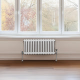 Radiateur Traditionnel à Double Colonne – 300 x 832 mm – Blanc