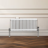 Radiateur Traditionnel à Double Colonne – 300 x 832 mm – Blanc