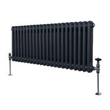 Radiateur Traditionnel à Double Colonne – 300 x 1012 mm – Gris Anthracite