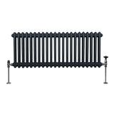 Radiateur Traditionnel à Double Colonne – 300 x 1012 mm – Gris Anthracite